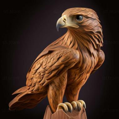 3D модель Buteo socotraensis (STL)